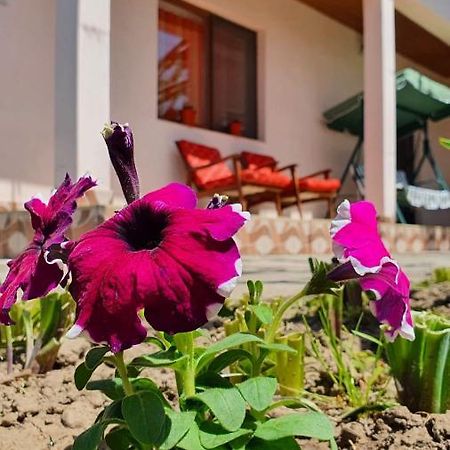 Casa Caraua Villa Greci Ngoại thất bức ảnh