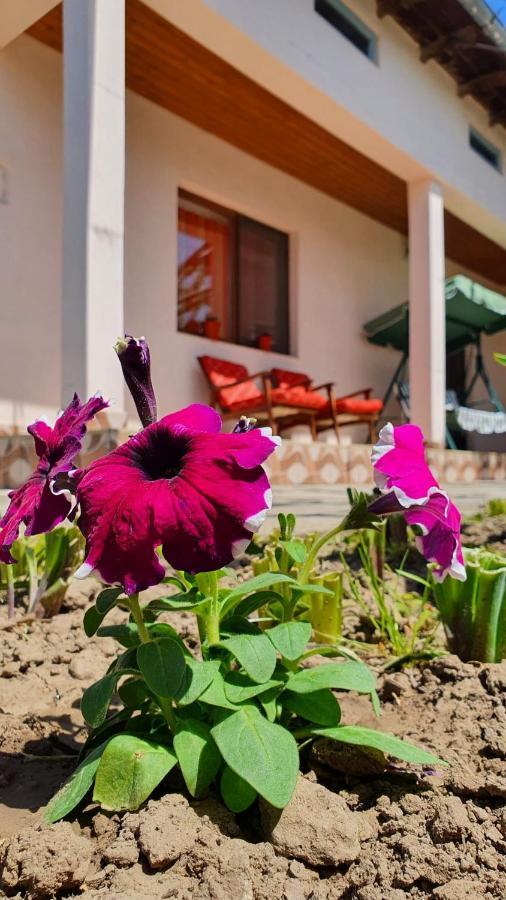 Casa Caraua Villa Greci Ngoại thất bức ảnh