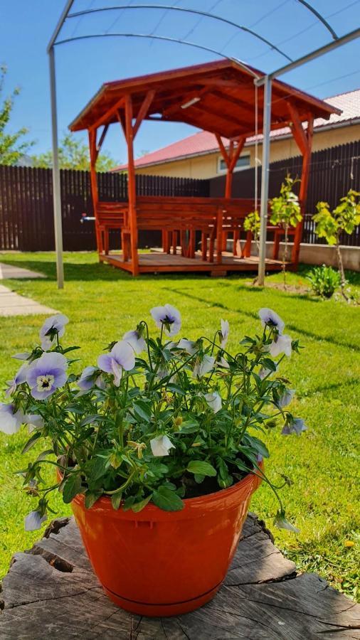 Casa Caraua Villa Greci Ngoại thất bức ảnh